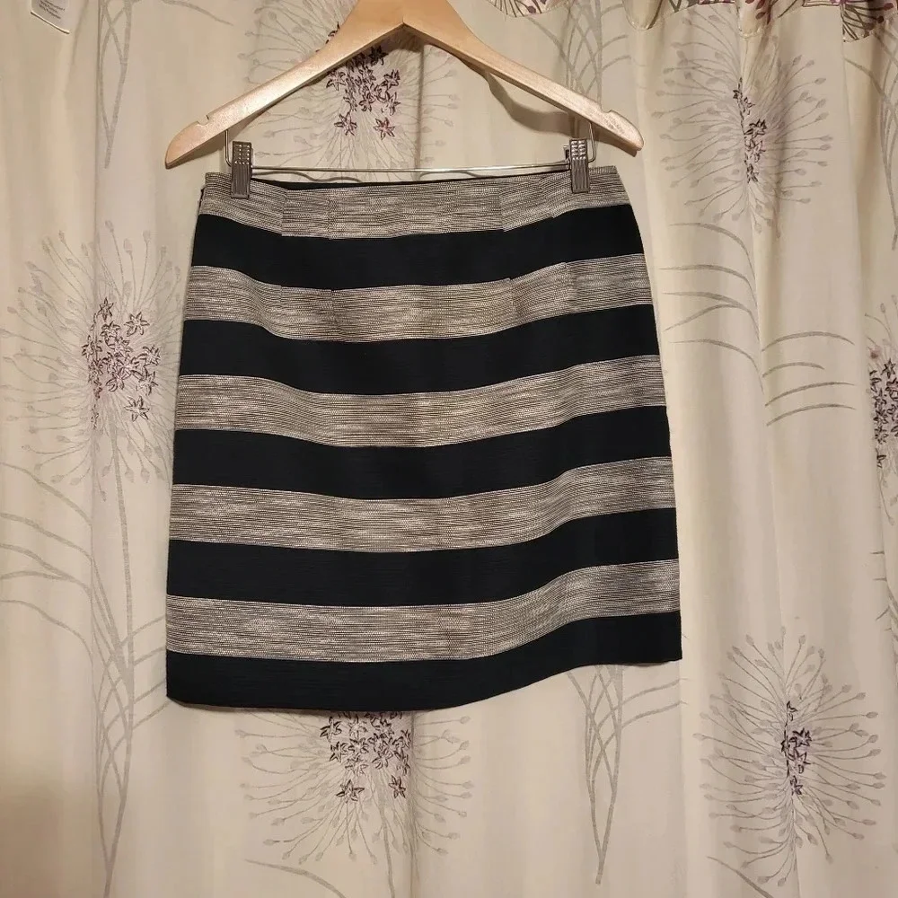 LOFT Ann Taylor Skirt Blue Silver Stripe Size 6